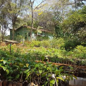 Imagem da notícia Horto Florestal Municipal: doação de quase 5 mil mudas em 2019