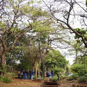 Imagem da notícia Horto Florestal Municipal: doação de quase 5 mil mudas em 2019