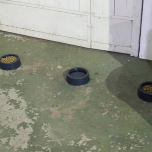 Imagem da notícia Prefeitura de Jahu realiza acolhimento temporário no inverno para pessoas em situação de rua