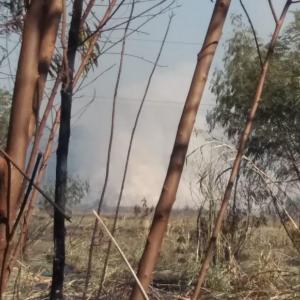 Imagem da notícia INCÊNDIOS SÃO CONTROLADOS NO FIM DE SEMANA