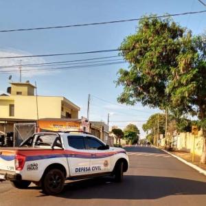 Imagem da notícia ABELHAS SÃO TRANSFERIDAS PARA BOCAINA