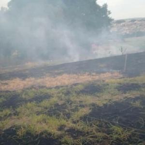 Imagem da notícia MAIS UM INCÊNCIO COMBATIDO PELA DEFESA CIVIL
