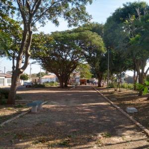 Imagem da notícia ÁRVORES SÃO PODADAS NA PRAÇA DA OLARIA EM POTUNDUVA
