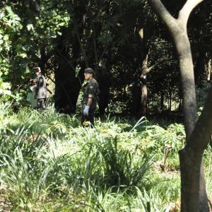 Imagem da notícia Secretaria de Meio Ambiente junto com o Tiro de Guerra, Fatec e Instituto Pró-Terra realizaram ação “Valorizando Nossas Águas”