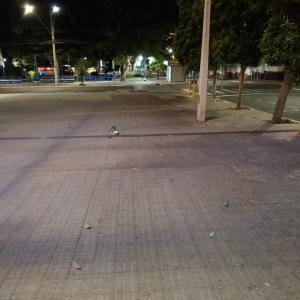 Imagem da notícia PRAÇA SIQUEIRA CAMPOS PASSA POR LIMPEZA