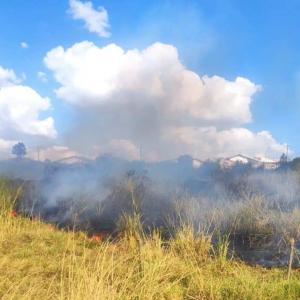 Imagem da notícia DEFESA CIVIL CONTROLA INCÊNDIO DE GRANDE PORTE
