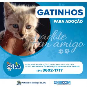 Imagem da notícia Adote um amigo