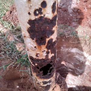 Imagem da notícia CAMPO MUNICIPAL EM POTUNDUVA PASSA POR REFORMA