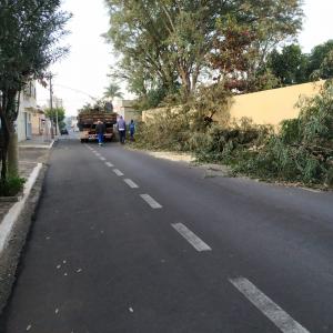Imagem da notícia ÁRVORES COM RISCO DE QUEDA SÃO CORTADAS NA LOURENÇO PRADO
