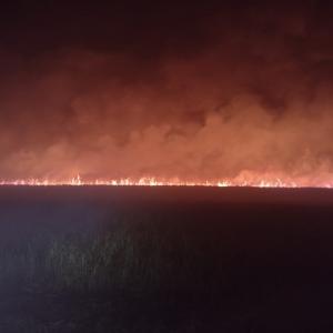 Imagem da notícia INCÊNDIO DE GRANDE PROPORÇÃO ATINGE CANAVIAL NA REVISÃO AGRÁRIA