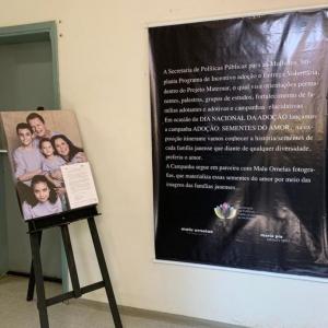 Imagem da notícia EXPOSIÇÃO EM PROL DA ADOÇÃO ESTÁ NO FÓRUM
