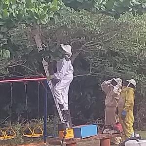 Imagem da notícia PARQUINHO DO MARIA ISABEL FICA INTERDITADO NO FIM DE SEMANA