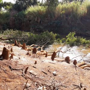 Imagem da notícia PREFEITURA ACOMPANHA OBRAS DE LIMPEZA DO RIO JAÚ NO JARDIM SÃO JOSÉ