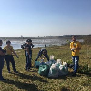 Imagem da notícia PREFEITURA PARTICIPA DO PLANTIO DE ÁRVORES NA LAGOA PRETA  
