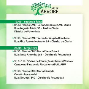 Imagem da notícia MÊS DA ÁRVORE - SETEMBRO