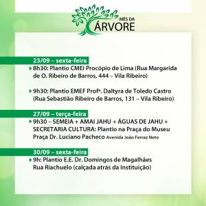 Imagem da notícia MÊS DA ÁRVORE - SETEMBRO