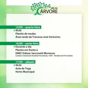 Imagem da notícia MÊS DA ÁRVORE - SETEMBRO