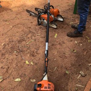 Imagem da notícia MULHERES E HOMENS FAZEM CAPACITAÇÃO PARA MANEJO DE ARBORIZAÇÃO URBANA