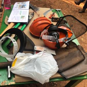 Imagem da notícia MULHERES E HOMENS FAZEM CAPACITAÇÃO PARA MANEJO DE ARBORIZAÇÃO URBANA