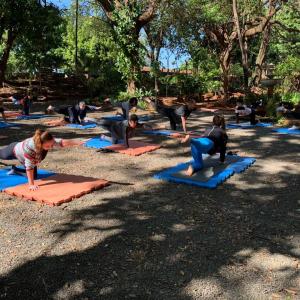 Imagem da notícia HORTO FLORESTAL É CENÁRIO PARA PRÁTICA DE YOGA