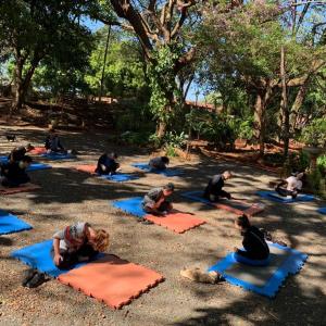 Imagem da notícia HORTO FLORESTAL É CENÁRIO PARA PRÁTICA DE YOGA