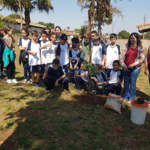 Imagem da notícia ÁRVORES SÃO PLANTADAS EM ESCOLAS DE POTUNDUVA