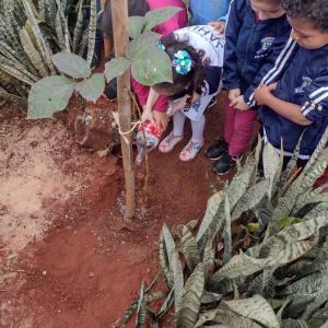 Imagem da notícia CRIANÇAS PLANTAM ÁRVORE EM ESCOLA DE POTUNDUVA