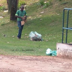 Imagem da notícia MARGENS DO LAGO DO SILVÉRIO PASSAM POR LIMPEZA