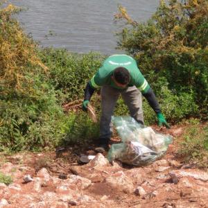 Imagem da notícia MARGENS DO LAGO DO SILVÉRIO PASSAM POR LIMPEZA