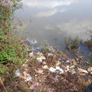 Imagem da notícia MARGENS DO LAGO DO SILVÉRIO PASSAM POR LIMPEZA