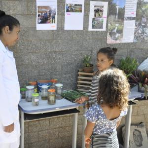 Imagem da notícia Projeto Distrito de Potunduva em Ação ocorreu neste sábado - FOTOS