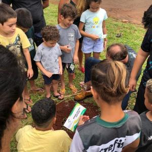 Imagem da notícia JARDIM ITATIAIA GANHA 50 MUDAS DE ÁRVORES