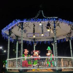 Imagem da notícia SEJA LUZ - TURMA DO MICKEY