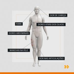 Imagem da notícia PARA CONTROLAR A DENGUE É PRECISO EVITAR CRIADOUROS