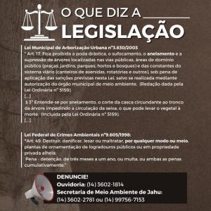 Imagem da notícia ANELAMENTO É CRIME AMBIENTAL