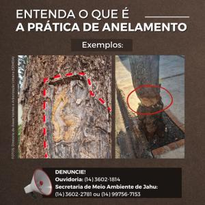 Imagem da notícia ANELAMENTO É CRIME AMBIENTAL
