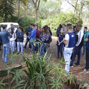 Imagem da notícia Semana do Meio Ambiente - FOTOS