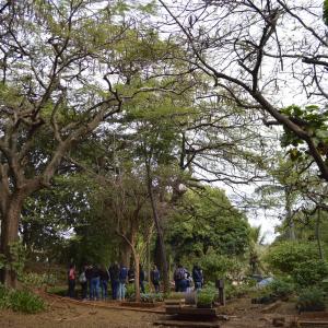 Imagem da notícia Semana do Meio Ambiente - FOTOS