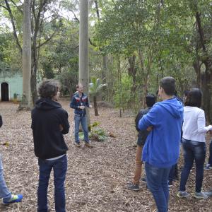 Imagem da notícia Semana do Meio Ambiente - FOTOS