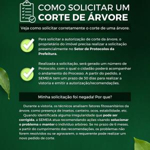 Imagem da notícia CORTE DE ÁRVORES SEM AUTORIZAÇÃO É CRIME