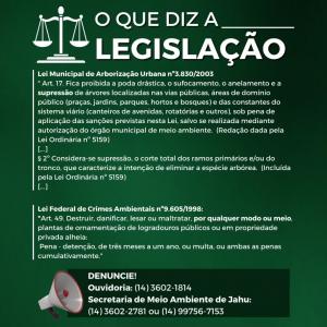Imagem da notícia CORTE DE ÁRVORES SEM AUTORIZAÇÃO É CRIME