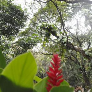 Imagem da notícia Projeto Menor Aprendiz (CIEE) visita Horto Florestal Municipal em comemoração ao dia Mundial do Meio Ambiente