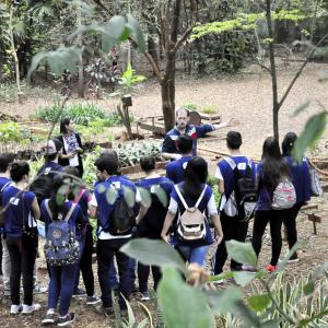 Imagem da notícia Projeto Menor Aprendiz (CIEE) visita Horto Florestal Municipal em comemoração ao dia Mundial do Meio Ambiente