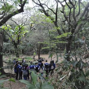 Imagem da notícia Projeto Menor Aprendiz (CIEE) visita Horto Florestal Municipal em comemoração ao dia Mundial do Meio Ambiente