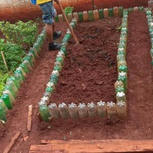 Imagem da notícia CAPS UTILIZA CULTIVO DE HORTALIÇAS COMO TERAPIA ALTERNATIVA