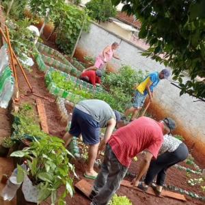 Imagem da notícia CAPS UTILIZA CULTIVO DE HORTALIÇAS COMO TERAPIA ALTERNATIVA