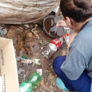 Imagem da notícia CONTROLE DE CRIADOUROS DO AEDES AEGYPTI