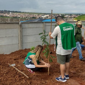 Imagem da notícia MÊS DA ÁGUA TEM PLANTIO DE 50 MUDAS DE ÁRVORES