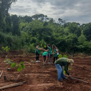 Imagem da notícia MÊS DA ÁGUA TEM PLANTIO DE 50 MUDAS DE ÁRVORES