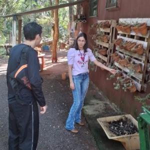 Imagem da notícia MÊS DA ÁGUA – VISITA AO HORTO MUNICIPAL